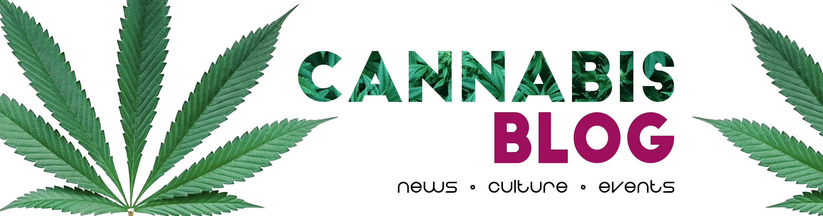 Committee Blog: Trust In Cannabis - Why It Matters More Now Than Ever -