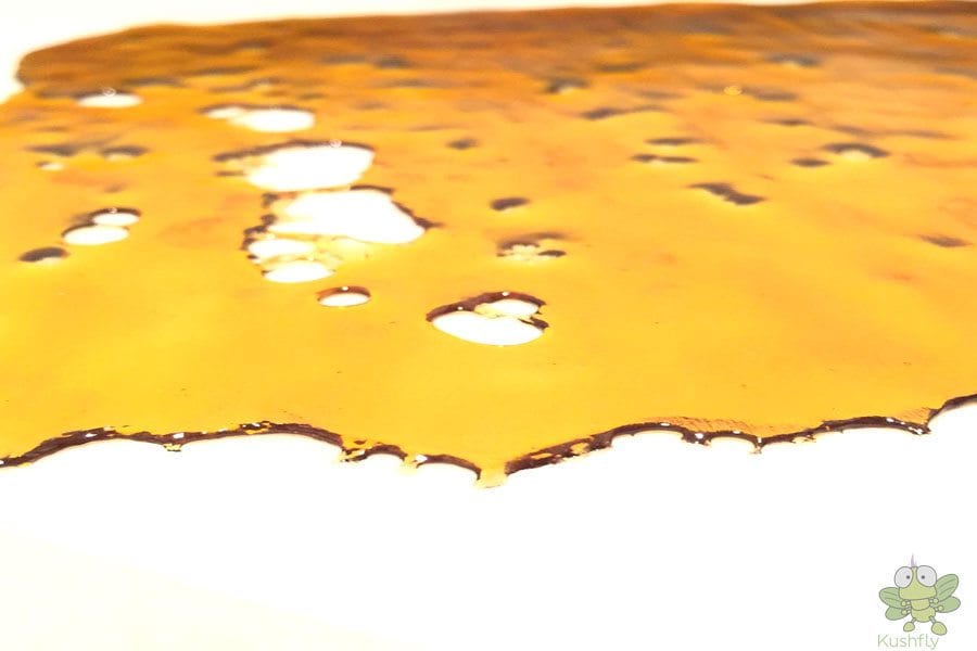 Gold Coast Extracts Live Resin Shatter