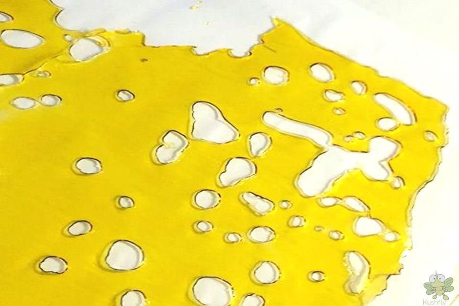 Gold Coast Extracts Live Resin Shatter