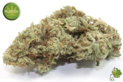 Elmer’s Glue Strain Delivery in Los Angeles