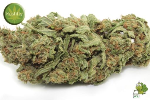 Blue Dragon Strain Delivery in Los Angeles