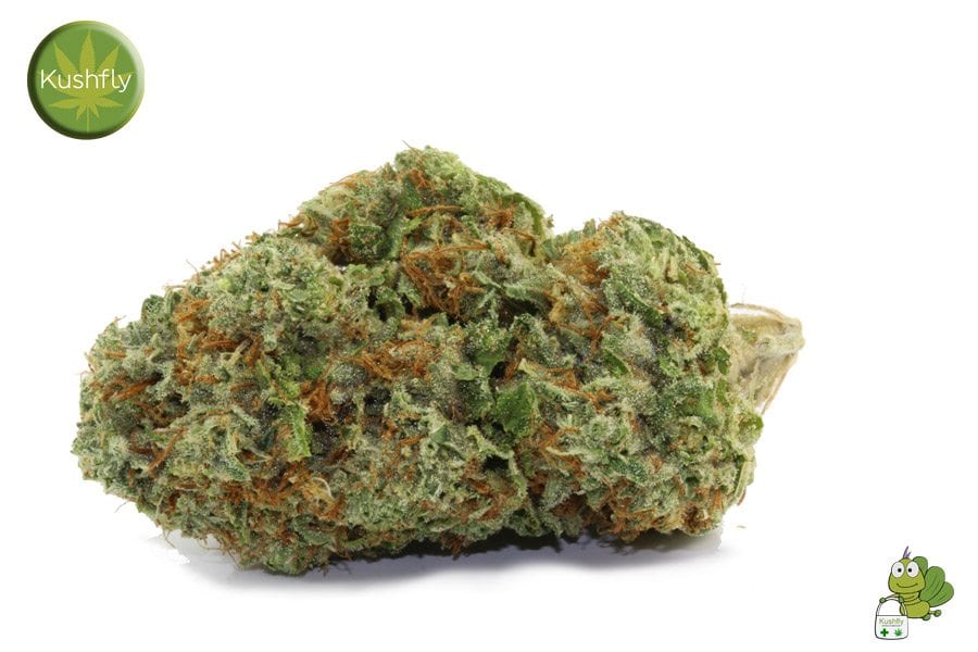 Royal OG Kush Strain Cannabis Delivery Royal Flush OG - Indica - FloraCal O...