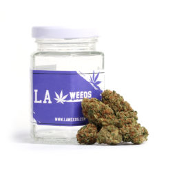 WiFi OG Strain delivery in Los Angeles