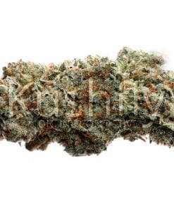 truffle strain og delivery cannabis kushfly