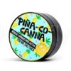 High Gorgeous Pina Co Canna Body Butter Delivery in los angeles