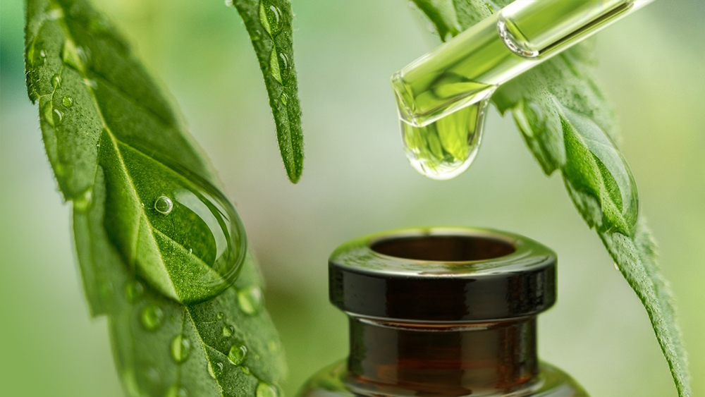 Six Things To Know Before You Buy CBD