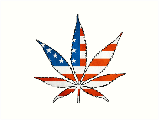 Legal Marijuana- Will It Help Or Harm Americans?