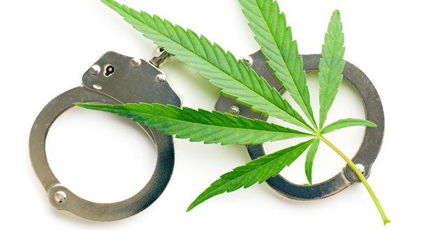 LA Sues Unlicensed Cannabis Dispensary in DTLA