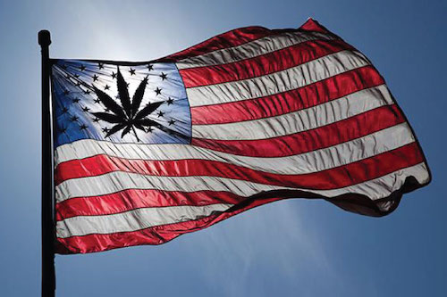 2020 Democrats Are Ready To Legalize Marijuana