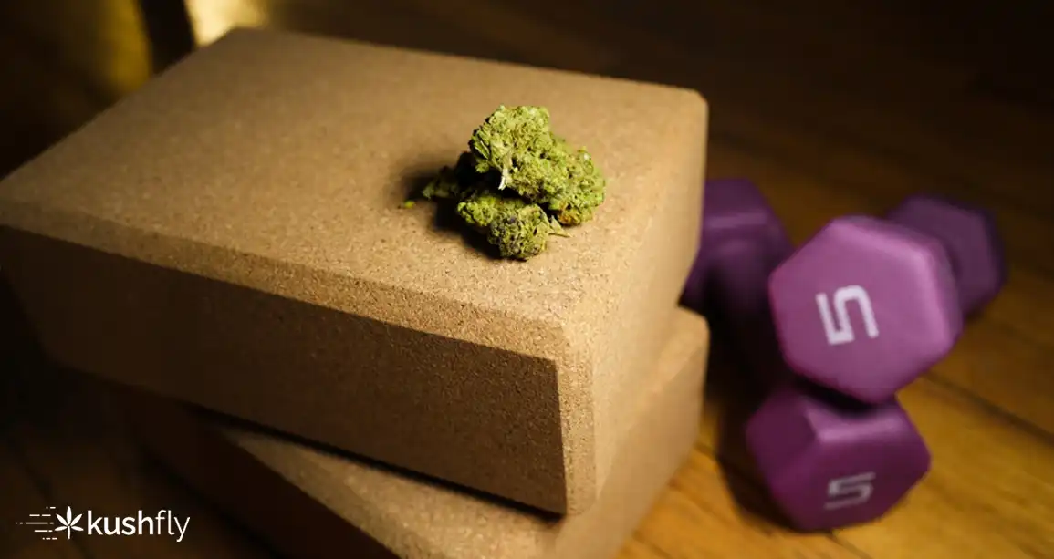 Best Cannabis Strains for Working Out