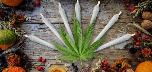 The Best Marijuana Products To Bring To Your Thanksgiving Gathering