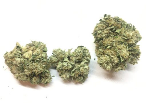 White CBG Flower strain delivery in los angeles