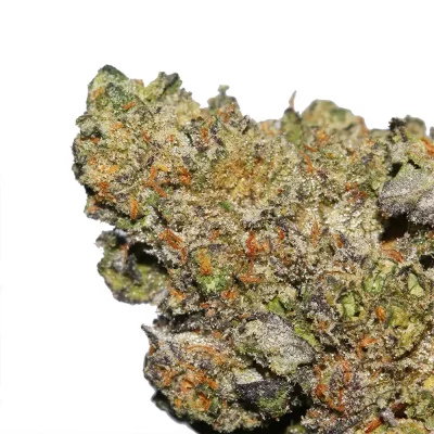 Best Weed Strains for Focus