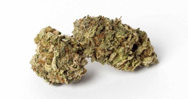Blueberry Muffin strain delivery in los angeles