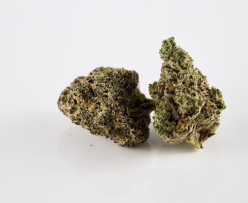 King Glue Strain Review
