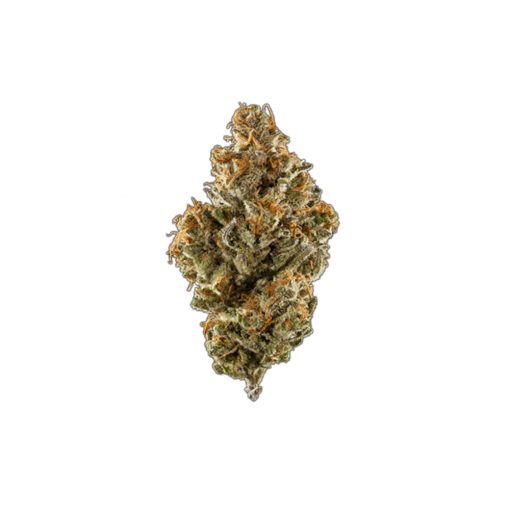 Gelato Cake Feminized Seeds | Grizzly Seed Bank | T.H.Seeds