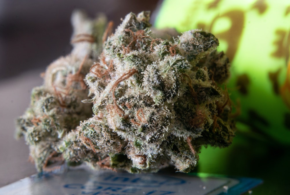 The Best Strains For A Long Lasting High