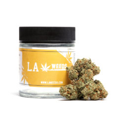 Dutch treat strain delivery in Los Angeles