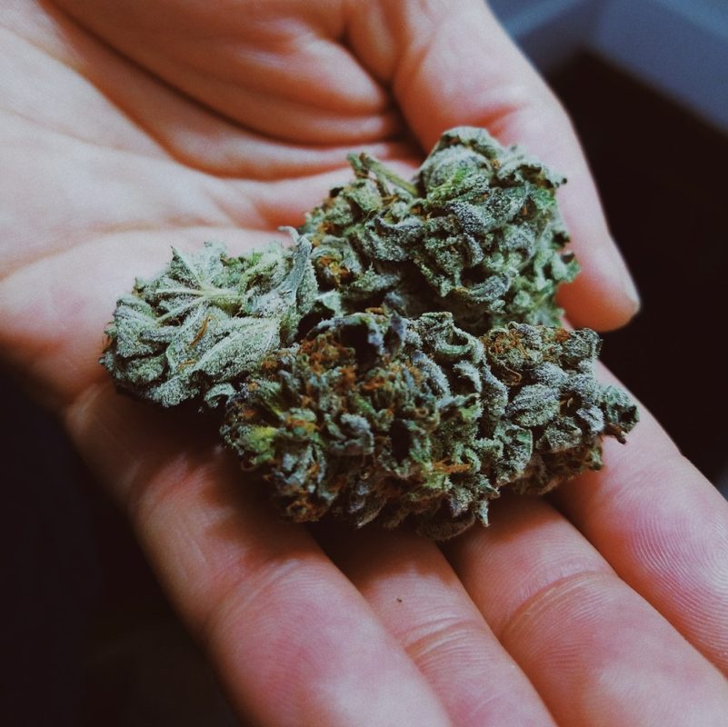 The Best Way To Store Weed & How To Keep It Fresh