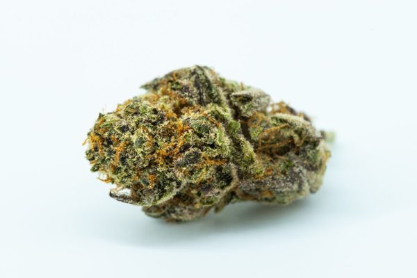 A marijuana bud. Close-up. 