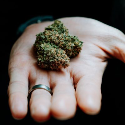A man's hand holding a dime-sized cannabis.
