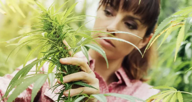 the impact of women in the cannabis industry