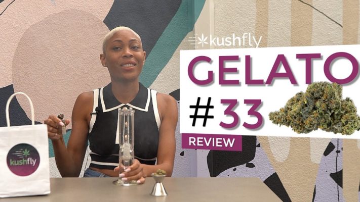 gelato 33 video review