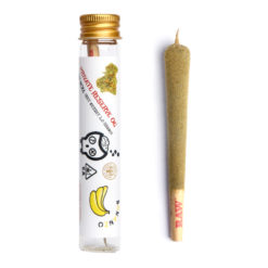 one preroll, white background, Crazy Mind Infused Preroll Private Reserve OG