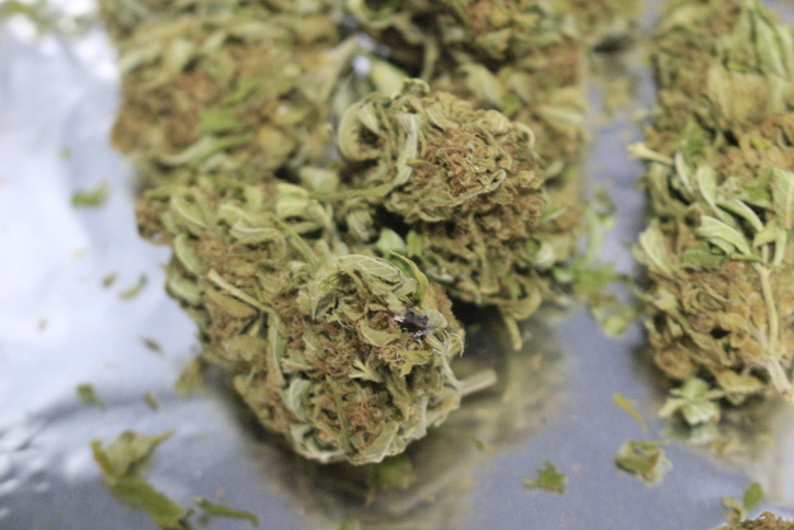 Close up of White Runtz Strain. This is a potent hybrid strain with well-balanced effects.