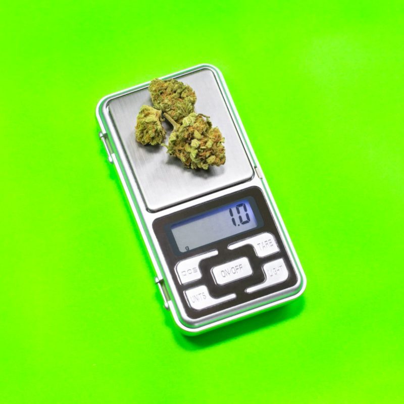 One gram of cannabis buds on digital scale isolate on green background. Weighing marijuana with digital weight.