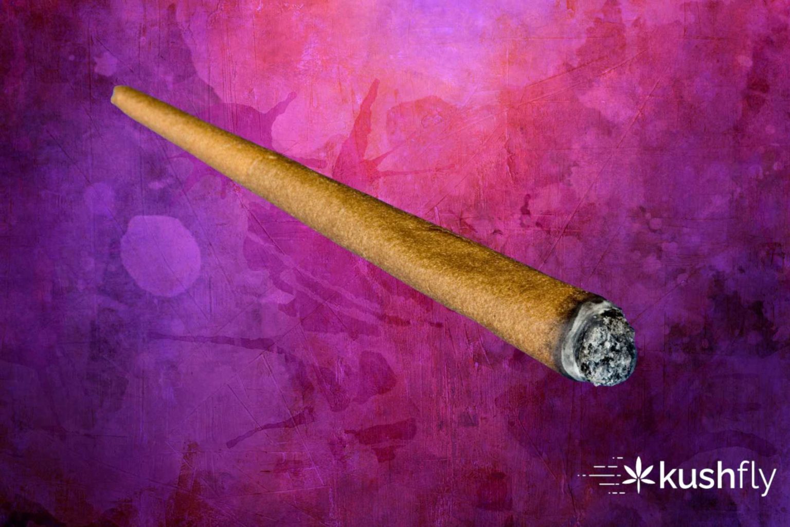 The Best Blunt Wraps for Every Stoner Kushfly
