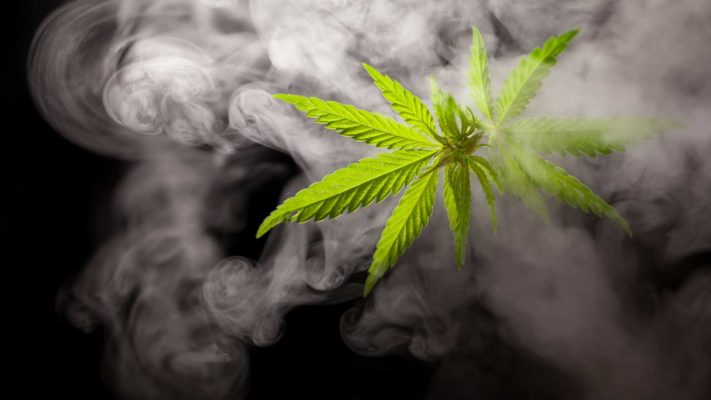 Do Marijuana Plants Smell? 
