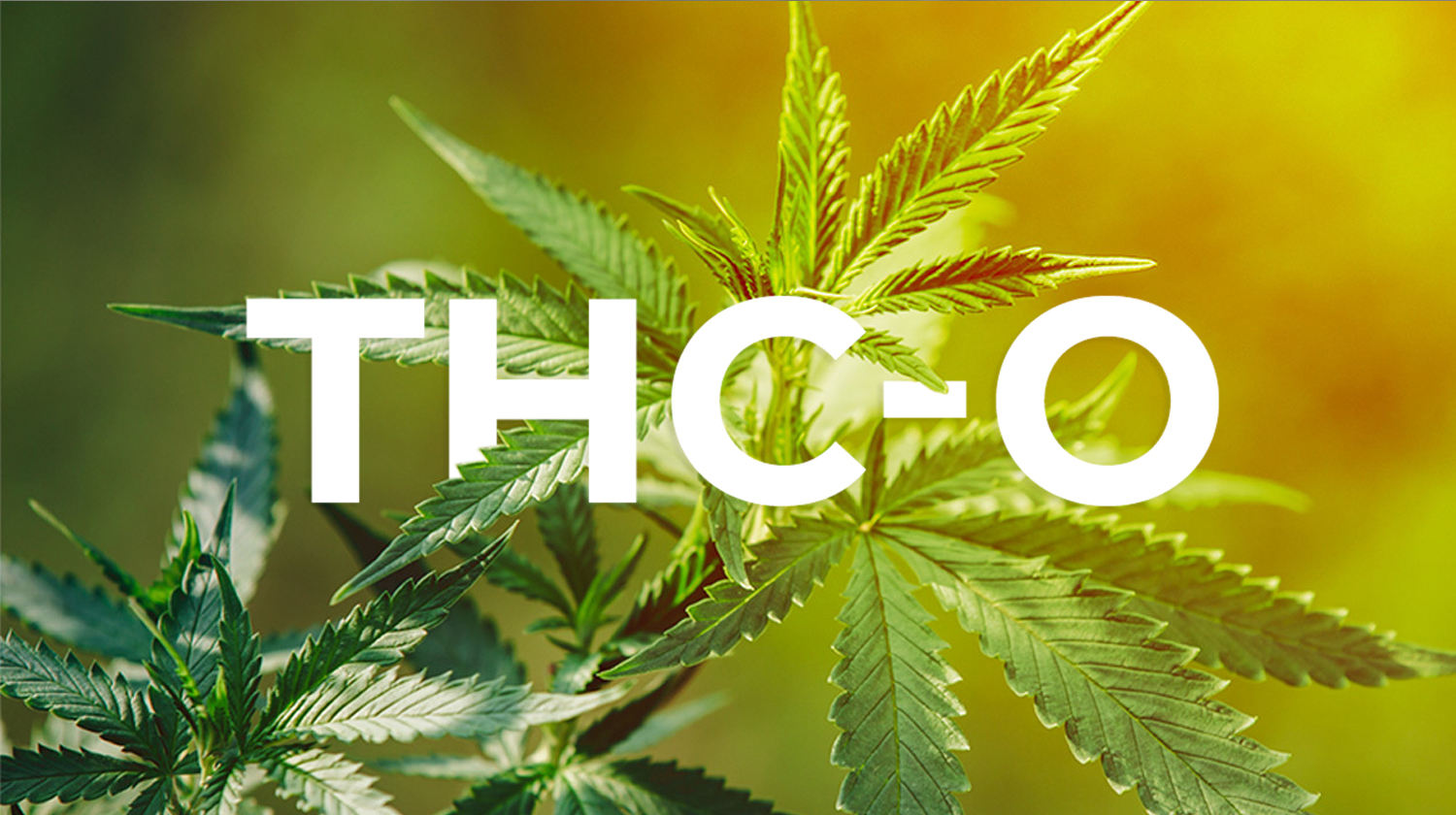 THC-O Acetate: Everything You Need To Know About THC-OKushfly