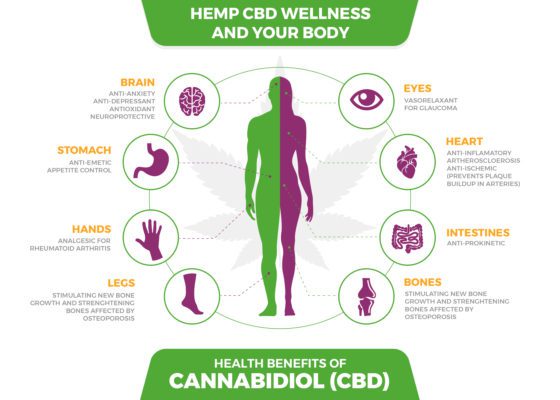 What Are the Benefits of CBD? CBD Benefits Chart, Miles Barry Marijuana Dispensary