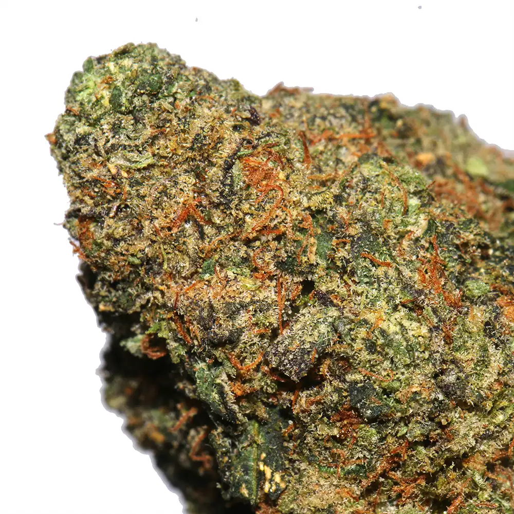 LA Weeds Thin Mint Cookies cannabis strain