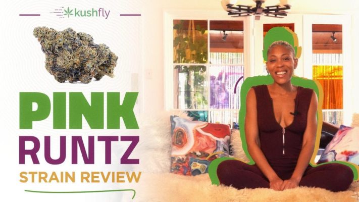 pink runtz strain video review