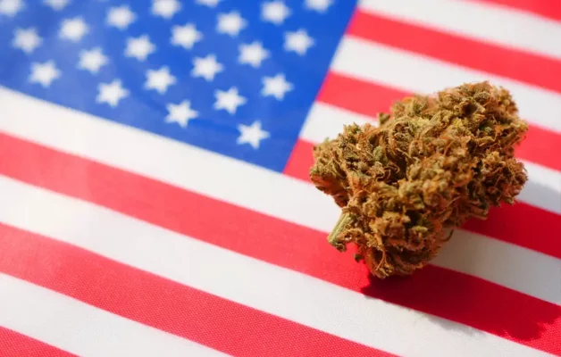 cannabis strains for memorial day