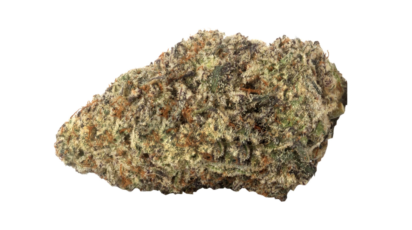Close-up Icy Runtz strain on white background. 30.5% THC content.