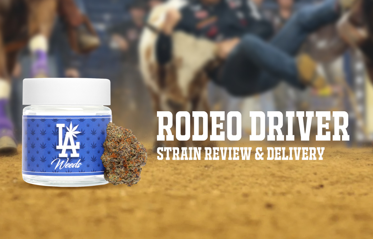 Rodeo Driver Strain Review & Delivery