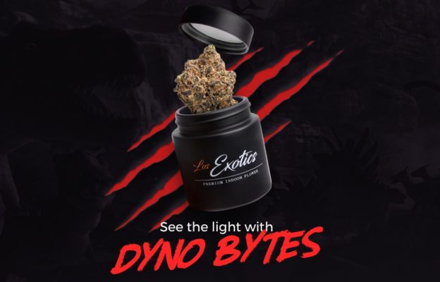 Dyno Bytes Strain Review & Delivery in Los Angeles