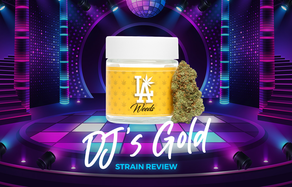 Dj’s Gold Strain Strain Review