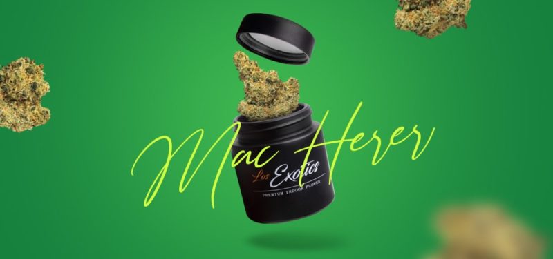 Mac Herer Strain Review & Delivery in Los Angeles