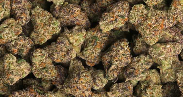Black Candy Strain Review