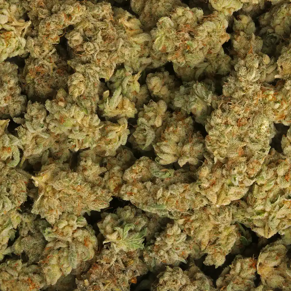 Kandy Krush Strain Delivery in Los Angeles