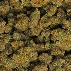 Marijuana Baba Frosted Flakest Strain Delivery in Los Angeles.