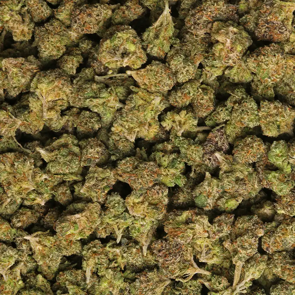 Marijuana Baba weed strain