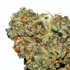 Martian Cookies strain delivery in Los Angeles