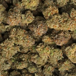 Martian Cookies strain delivery in Los Angeles