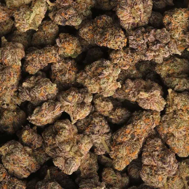 Guava Runtz strain delivery in Los Angeles