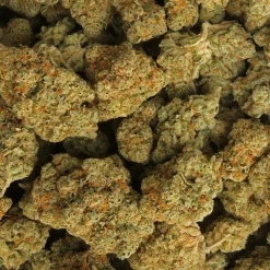 Sour Diesel cannabis strain from LA Weeds